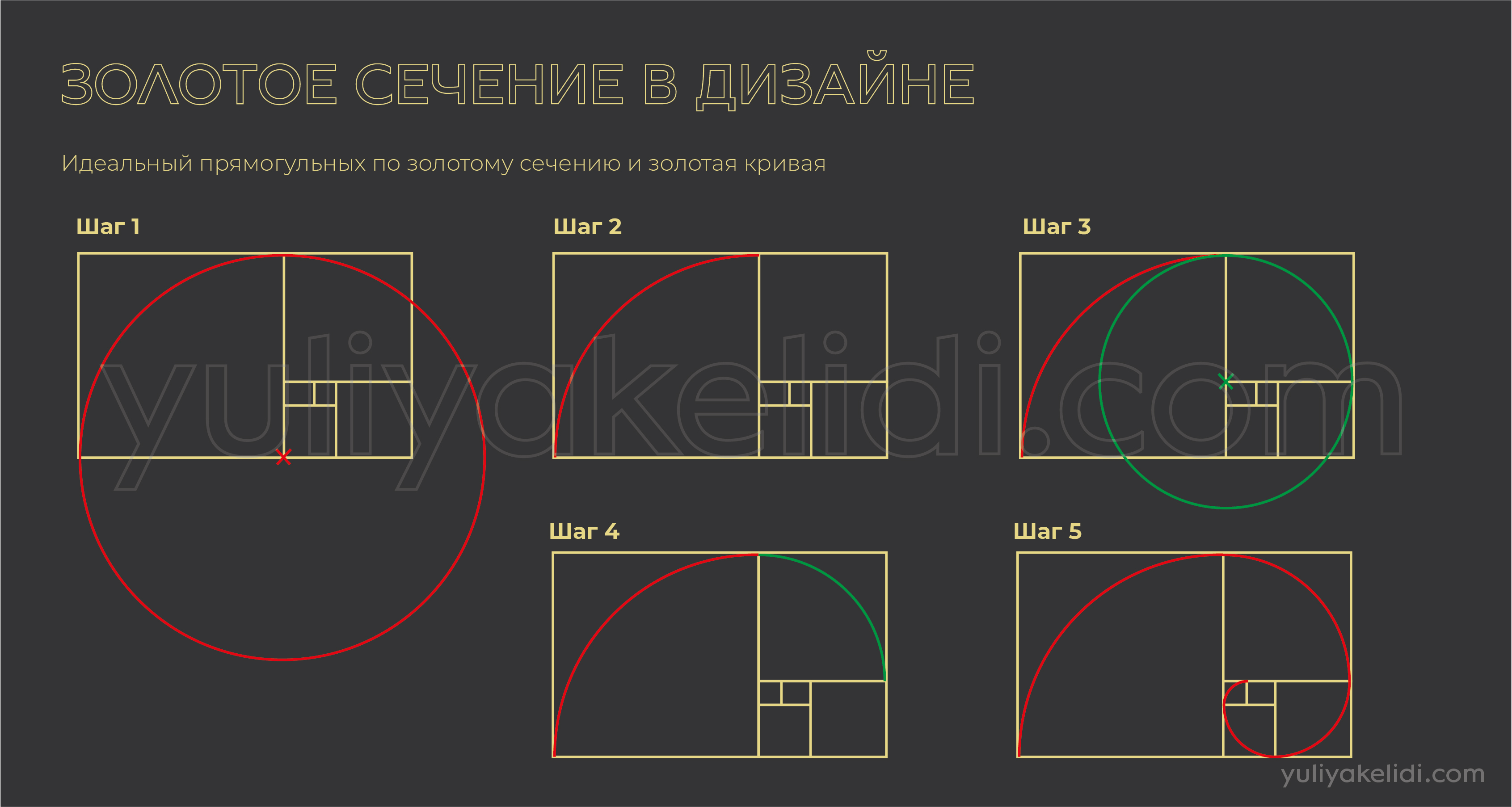 Золотое сечение (с большим количеством фото) - deviceart.ru